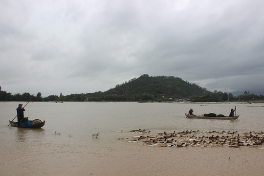 [-]Một[-]học[-]sinh[-]ở[-]Bình[-]Định[-]bị[-]nước[-]lũ[-]cuốn[-]trôi[-]tử[-]vong